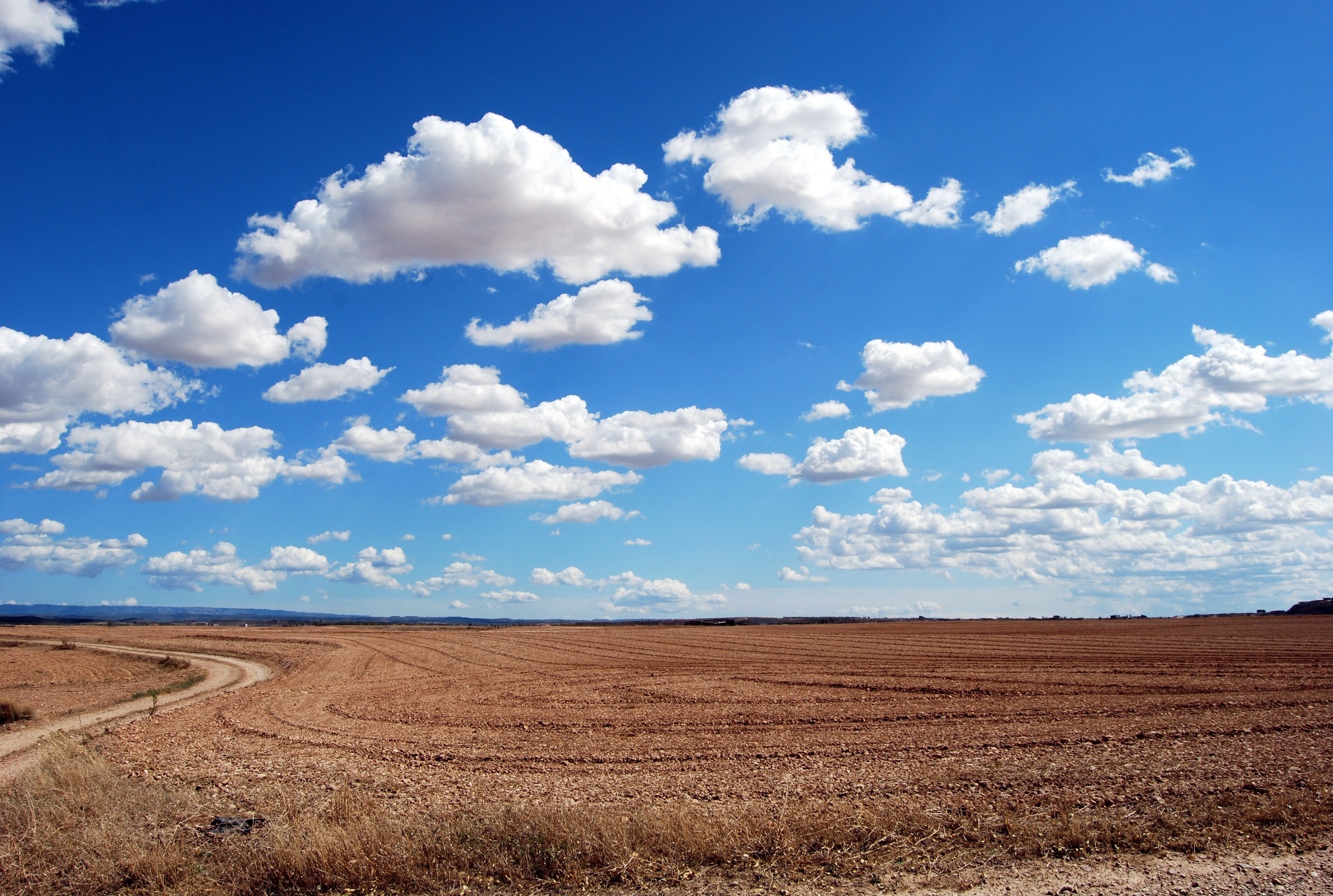 Embrace Cloud Based Solutions